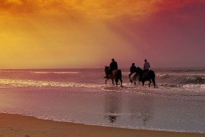 Guided Horseback Rides - Rythmia