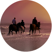 excursions-circle-horseback
